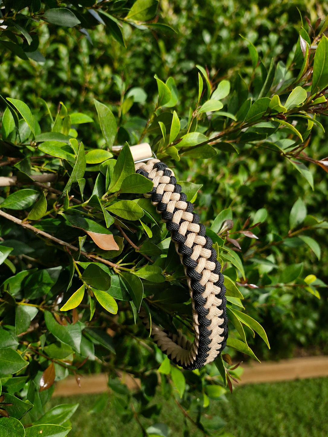 Collars and Cake - Paracord Dog Collar Workshop