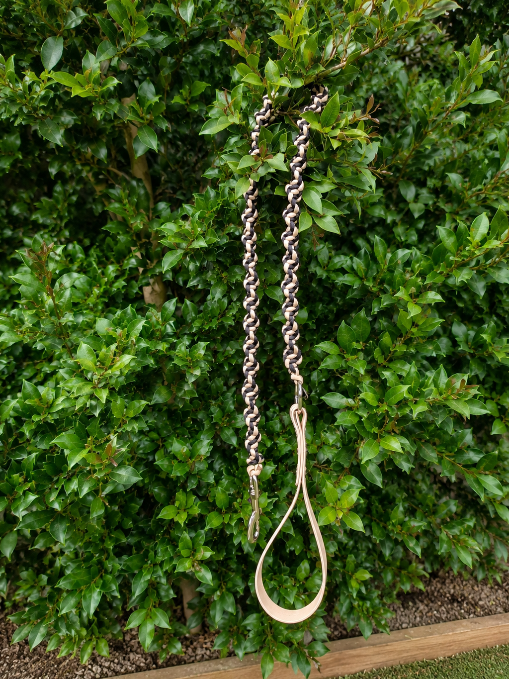 Leads and Lattes – Paracord Dog Lead Workshop