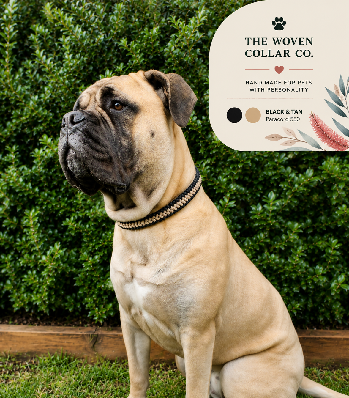 Collars and Cake - Paracord Dog Collar Workshop